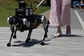 Trí tuệ nhân tạo: Chó robot dẫn đường hỗ trợ người khiếm thị