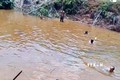 Đắk Nông: Hai cháu nhỏ đuối nước do tắm ao