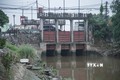 Cống tiêu thoát nước tại thị trấn Diêm Điền, huyện Thái Thụy (Thái Bình) mở cả 3 cửa để đảm bảo tiêu thoát nước cho lúa mùa. Ảnh Vũ Quang - TTXVN