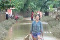 越南北部各省主动应对和克服暴雨洪涝灾害所造成严重后果