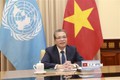 越南与联合国安理会：联合国安理会海湾地区局势部长级视频会议举行
