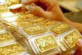 25日越南国内市场黄金价格每两接近5600万越盾