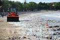 东盟与挪威合作防治塑料垃圾污染