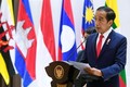 印尼与柬埔寨促进卫生、经济、投资和防务等领域的合作