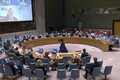 越南与联合国安理会：从性别角度看促进萨赫勒和平与安全问题 