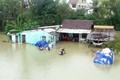 2021年前6月自然灾害给越南造成经济损失约5080亿越盾