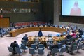 越南与联合国安理会：越南提议优先向叙利亚人民提供人道主义援助