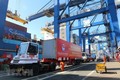 越南最大国际集装箱枢纽港保障疫情期间货物通关顺畅
