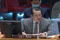 越南与联合国安理会：越南谴责使用化学武器的行为