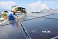Lắp đặt tấm pin mặt trời trên mái nhà tại một hộ dân Ảnh: Tiên Minh - TTXVN