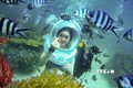 Du khách tham quan dưới đáy biển ngắm san hô tại vùng biển Phú Quốc. Ảnh: TTXVN phát