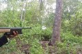 Một trong ba người đàn ông đi săn đã tử vong bất thường trong rừng rậm. Ảnh : phapluatplus.vn