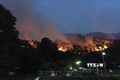 Đám cháy lan xuống khu vực rừng phòng hộ và áp sát nhà dân dưới chân núi Mồng Gà, huyện Hương Sơn, tỉnh Hà Tĩnh. Ảnh: TTXVN phát