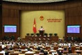 Quốc hội biểu quyết thông qua Nghị quyết về thí điểm một số cơ chế, chính sách tài chính - ngân sách đặc thù đối với Thành phố Hà Nội. Ảnh: Văn Điệp - TTXVN