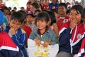 Lâm Đồng: 13 trẻ em trong thôn Đa Nung B của đồng bào K’Ho có triệu chứng viêm gan A do virus