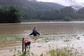 Mưa lũ gây ngập úng nhiều khu vực tại Nghĩa Đô, huyện Bảo Yên. Ảnh: Hồng Ninh - TTXVN