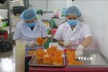 Sản phẩm đông trùng hạ thảo mở ra hướng đi mới cho phát triển kinh tế nông nghiệp tại thành phố Lai Châu. Ảnh: Việt Hoàng - TTXVN