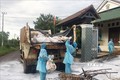 Lực lượng chức năng vận chuyển gia cầm bị bệnh tại xã Ea Kao, thành phố Buôn Ma Thuột, đi tiêu hủy. Ảnh: Tuấn Anh – TTXVN