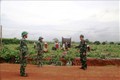 Lực lượng Biên phòng Đồn Biên phòng cửa khẩu Chàng Riệc, tỉnh Tây Ninh túc trực 24/24 giờ ở biên giới để ngăn chặn người qua lại trái phép.Ảnh: TTXVN