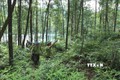 Chi cục Kiểm lâm tỉnh Bắc Giang phối hợp với lực lượng chuyên trách Ban quản lý rừng phòng hộ Sơn Động tổ chức đi tuần tra bảo vệ rừng. Ảnh: Vũ Sinh - TTXVN