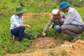 Cán bộ nông nghiệp xã Nậm Manh, huyện Nậm Nhùn, hướng dẫn bà con dân tộc trên địa bàn đào hố trồng cây xoài Đài Loan đúng kỹ thuật. Ảnh: Việt Hoàng - TTXVN
