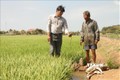 Cán bộ Thủy lợi ở huyện Trần Đề luôn cập nhật tình hình độ mặn ngay tại ruộng. Ảnh: Chanh Đa-TTXVN
