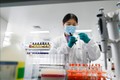 Kỹ thuật viên làm việc tại phòng thí nghiệm nghiên cứu vaccine COVID-19 tại Bắc Kinh, Trung Quốc, ngày 24/9/2020. Ảnh: AFP/TTXVN