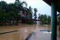 Quảng Bình: Nước Sông Gianh lên cao, hàng vạn ngôi nhà ngập sâu