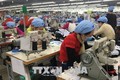 Công nhân làm việc tại Công ty cổ phần Dệt may Huế. Ảnh: Quốc Việt - TTXVN