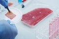 Nhiều công ty đang tập trung phát triển thịt nuôi cấy trong phòng thí nghiệm Ảnh: Alfa Editores