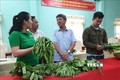 Trà Vinh hỗ trợ hợp tác xã tìm thị trường ổn định cho nông sản. Ảnh Thanh Hòa
