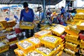 Thu mua, phân loại cá tại cảng cá Trần Đề. Ảnh : Chanh Đa - TTXVN