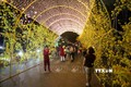 Du khách chụp ảnh tại đường hoa Phan Thiết. Ảnh: Nguyễn Thanh - TTXVN