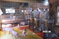Lực lượng thú y tỉnh Kon Tum kiểm tra đàn lợn tại xã Đăk La, huyện Đăk Hà, tỉnh Kon Tum. Ảnh: Dư Toán – TTXVN