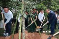 Chủ tịch nước Nguyễn Xuân Phúc và các đại biểu trồng cây tại Khu Di tích K9. Ảnh: Thống Nhất – TTXVN