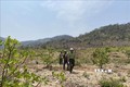 Cán bộ kiểm lâm phối hợp với tổ cộng đồng làng Ia Ke, xã Ia Phang (Chư Pưh) tuần tra bảo vệ rừng trên địa bàn. Ảnh: Hoài Nam – TTXVN