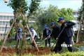 Lãnh đạo tỉnh Lâm Đồng cùng các đại biểu trồng cây ngay sau lễ phát động. Ảnh: Nguyễn Dũng – TTXVN