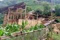Dông lốc làm tốc mái và sập 138 ngôi nhà, trường học tại Lào Cai