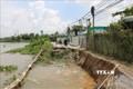 Đoạn sạt lở có chiều dài khoảng 20 m, ăn sâu vào đất liền 3 - 4 m, cắt đứt giao thông tuyến Nha Mân - Phú Long thuộc huyện Châu Thành (Đồng Tháp). Ảnh: Chương Đài - TTXVN