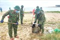 Mỗi hành động nhỏ của các cán bộ, chiến sỹ tuổi trẻ vũ trang tỉnh Quảng Bình sẽ giúp môi trường xanh - sạch - đẹp. Ảnh: Võ Dung - TTXVN