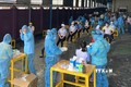 Các y bác sĩ Trung tâm kiểm soát bệnh tật Thành phố Hồ Chí Minh thực hiện xét nghiệm sàng lọc COVID-19 ngẫu nhiên cho công nhân. Ảnh: Thanh Vũ - TTXVN