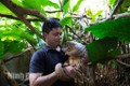 Ông Nguyễn Văn Thái, Giám đốc Trung tâm Bảo tồn Động vật hoang dã tại Việt Nam. Nguồn: baoninhbinh.org.vn