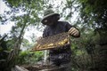 Ông Nguyễn Minh Phán kiểm tra một cầu ong chuẩn bị thu hoạch mật. Ảnh: Trọng Đạt-TTXVN
