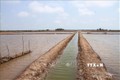 Ao nuôi Artemia của nông dân ở huyện Hòa Bình (tỉnh Bạc Liêu). Ảnh: Chanh Đa-TTXVN