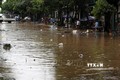 Mưa lớn gây ngập cục bộ tại tuyến đường Lê Thanh, phường Bắc Cường, thành phố Lào Cai. Ảnh: Quốc Khánh - TTXVN