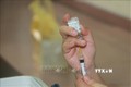 Các tỉnh đẩy nhanh tiến độ tiêm vaccine phòng COVID-19. Ảnh: Văn Đạt - TTXVN
