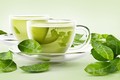 Tác dụng của trà xanh đối với bệnh giảm sút trí tuệ