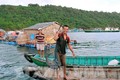 Nuôi cá bè ở huyện đảo Phú Quốc. Ảnh: Lê Huy Hải

