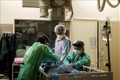  Nhân viên y tế điều trị cho bệnh nhân COVID-19 tại một bệnh viện ở Yokohama, Nhật Bản ngày 8/8/2021. Ảnh: AFP/TTXVN
