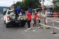 Chương trình trao rau củ quả hỗ trợ người dân trong khu vực bị cách ly trên địa bàn quận Sơn Trà. Ảnh: TTXVN phát